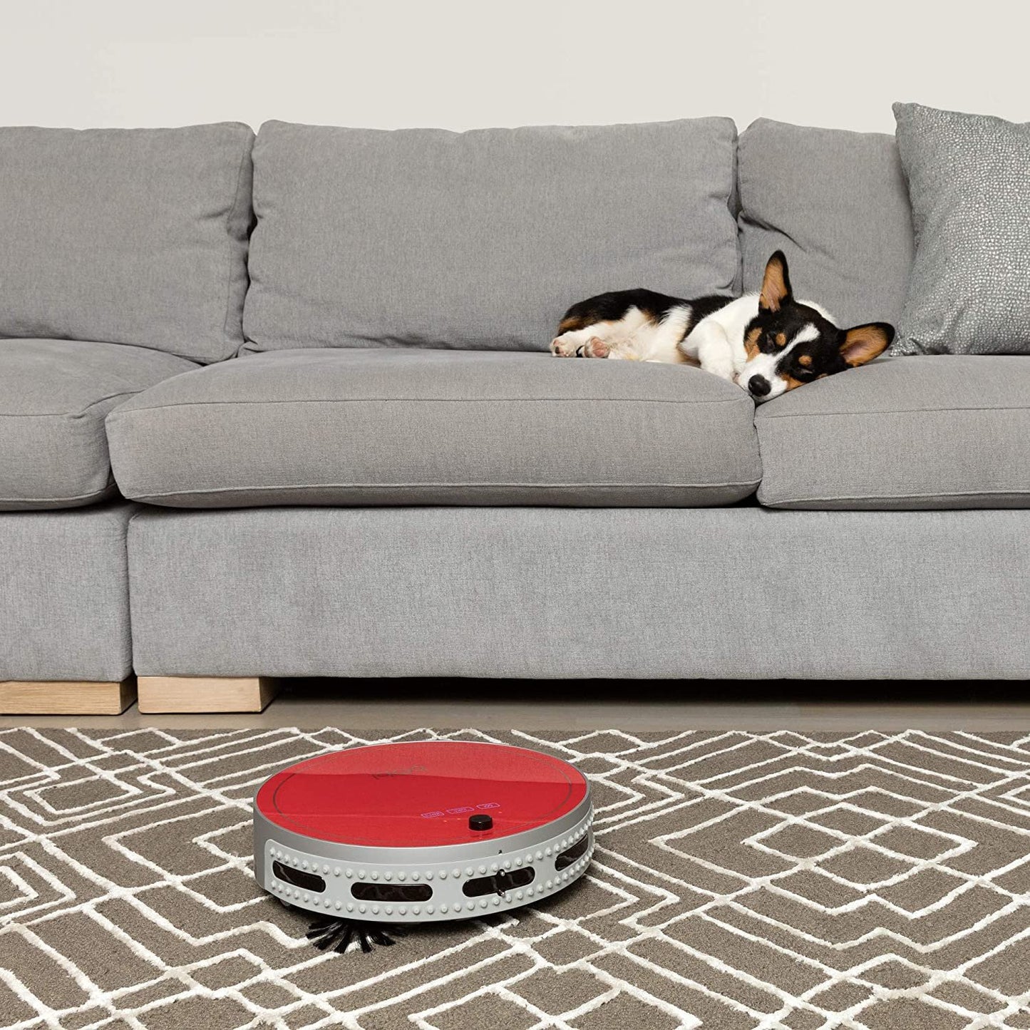 bObi Pet Robotic Vacuum Cleaner and Mop