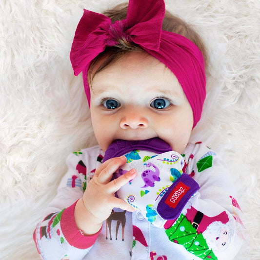 Nuby Purple Dino Teething Mitten with Travel Bag