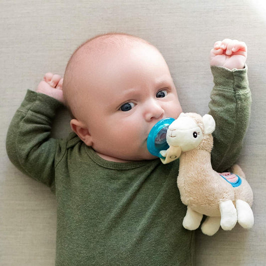 Nuby Llama Plush Toy Pacifier - blue/multi, one size